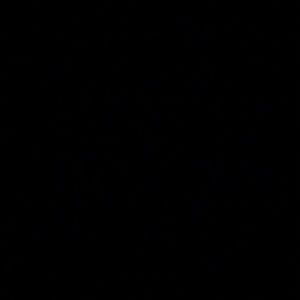 Meet your Posher, Loren